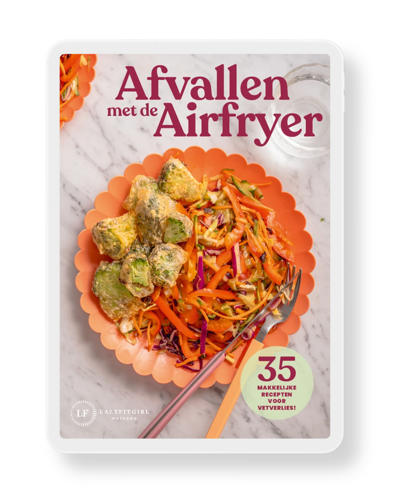Makkelijk afvallen met de airfryer - e-book