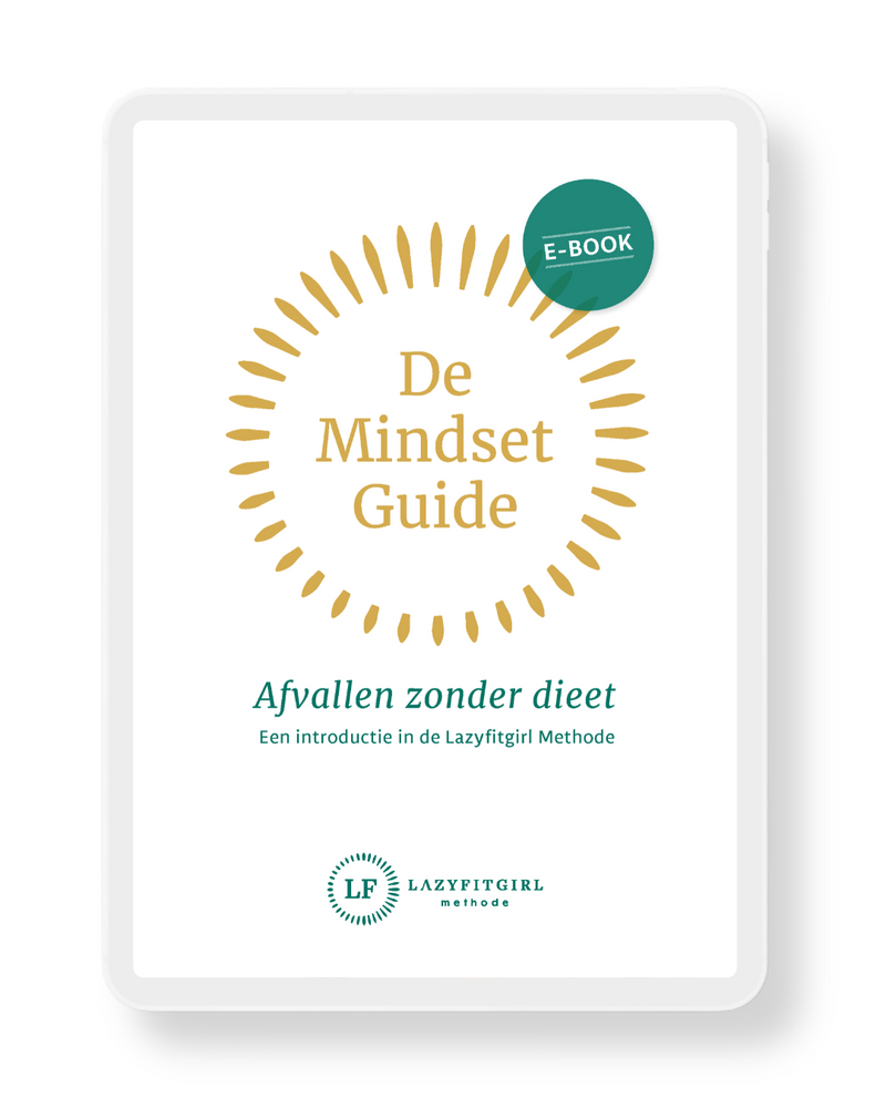 De Mindset Guide - introductie ebook