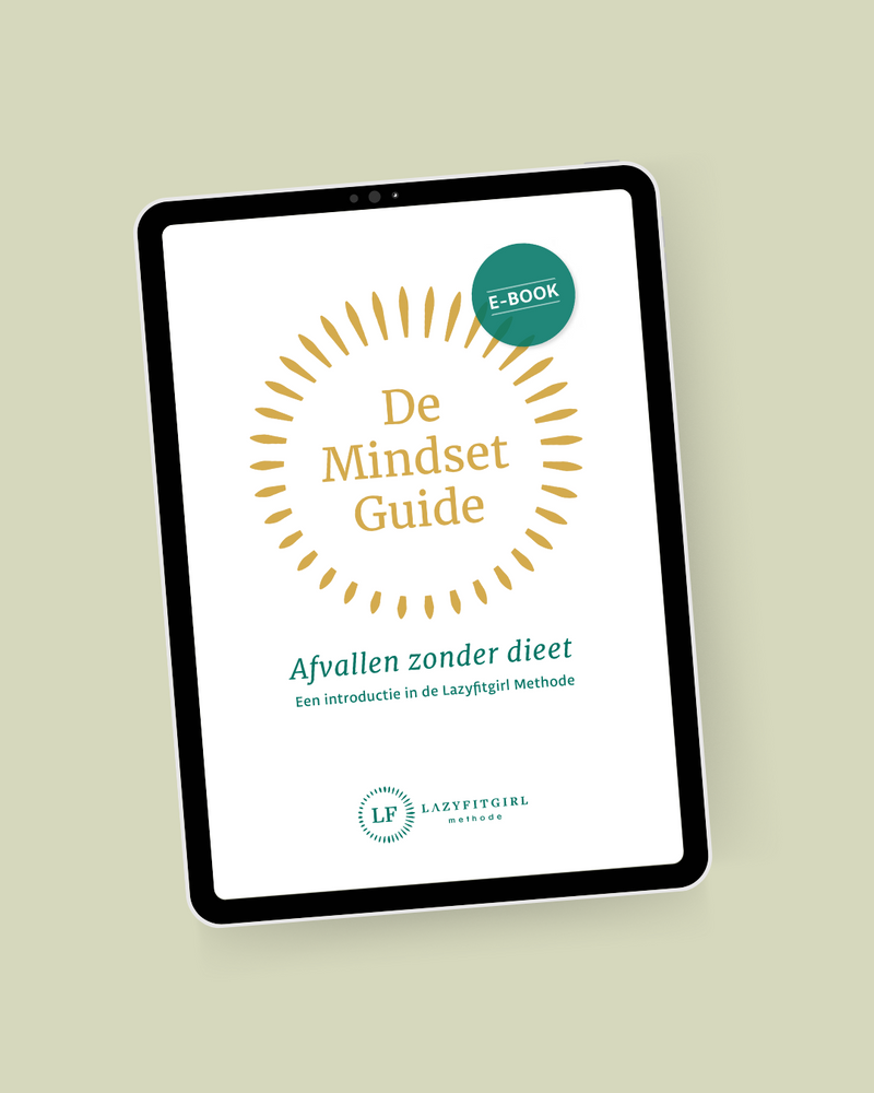 De Mindset Guide - introductie ebook